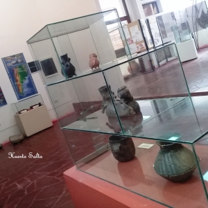 Visita al Museo de Antropología (Primaria)